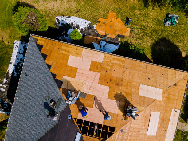 Best Roof Maintenance Services  in Garland, NC